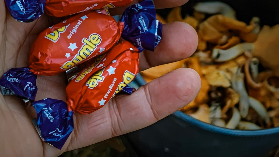 Syksyn paras retki voi alkaa ihan lähimetsästä